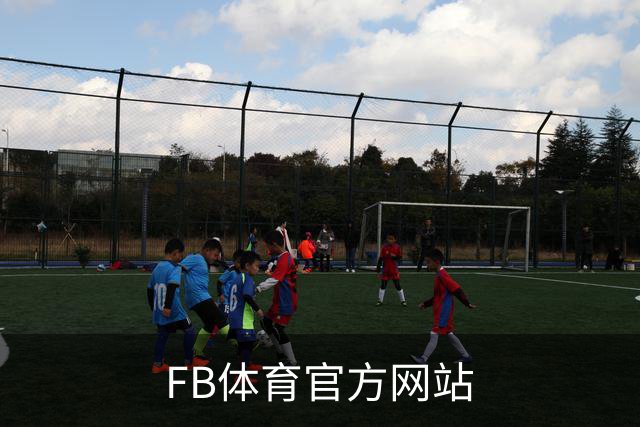 FB体育官方网站公司介绍